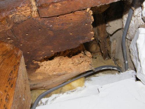 Beetle has eaten nearly all of this structural timber away at a house in Yarmouth