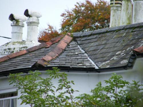 The vendors of this property in Newport didn't fix the roof but.....